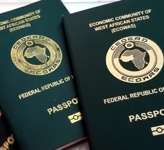 Citizenship Renunciation – Nigerian Passports